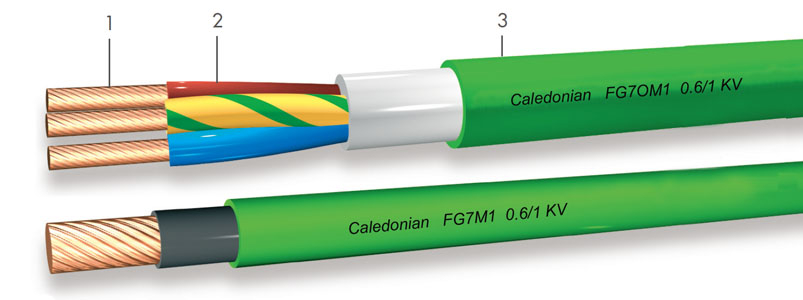 Click to view the big picture